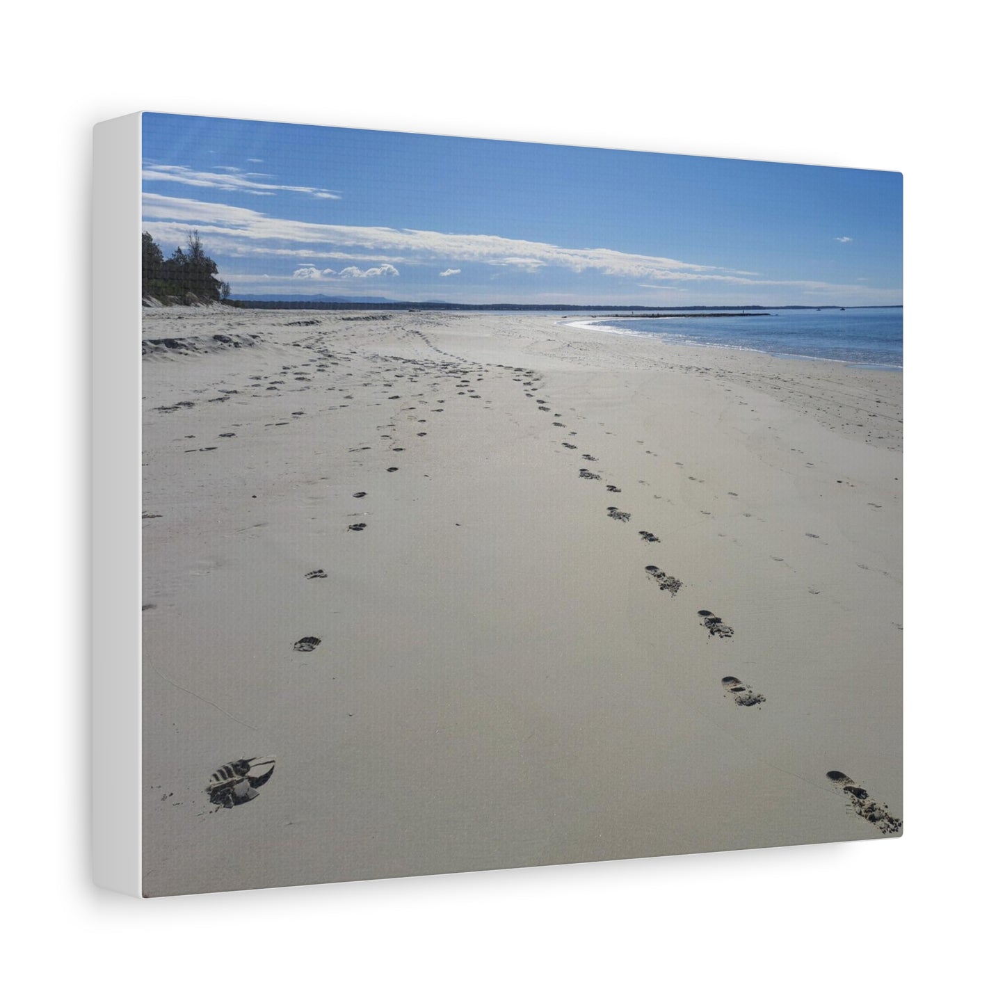 Footprint in the Sand (canvas)