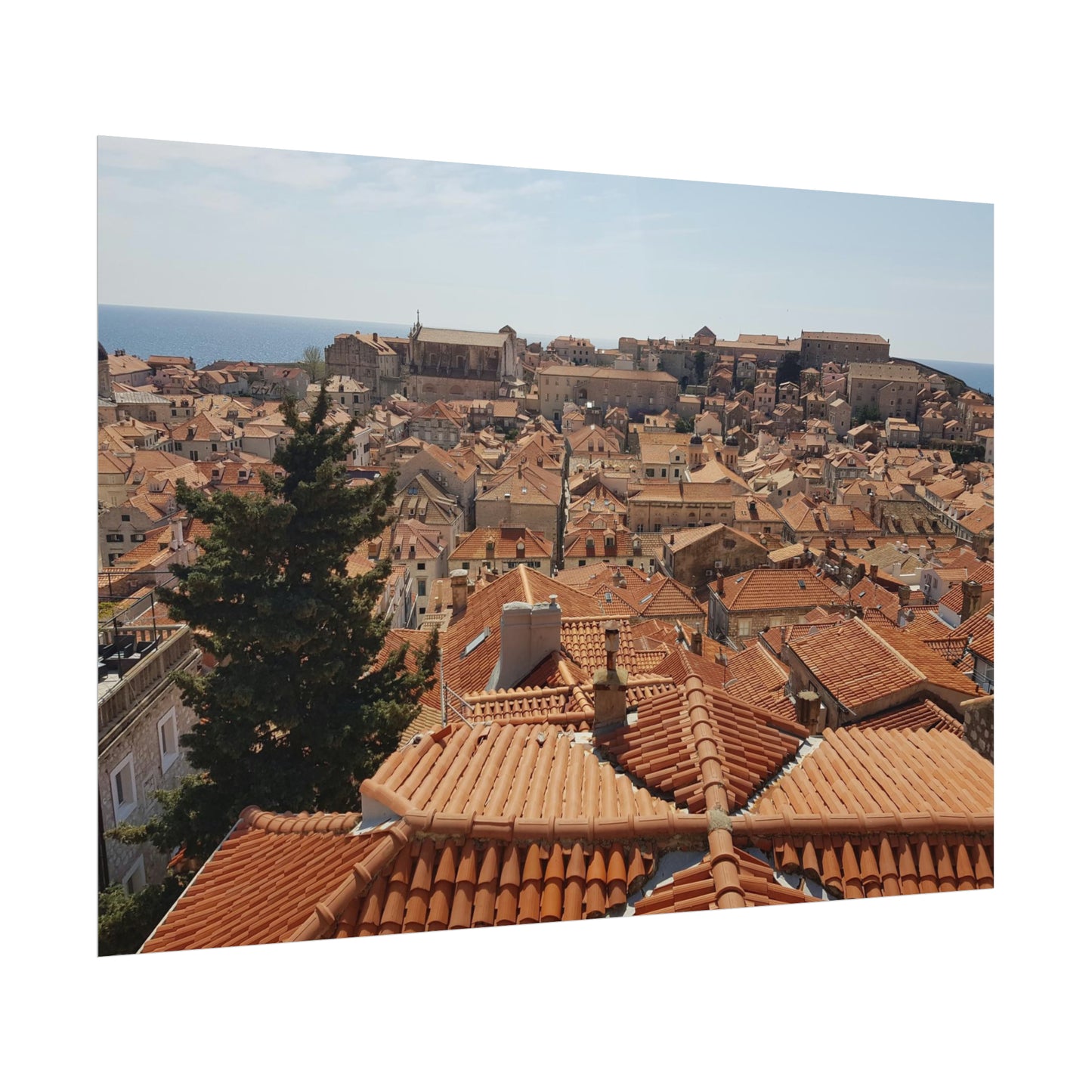 Roofs (print)