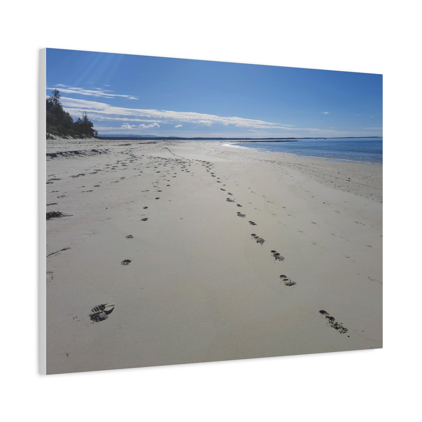 Footprints (canvas)