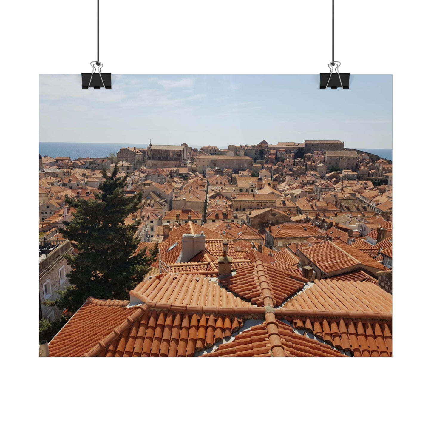 Roofs (print)