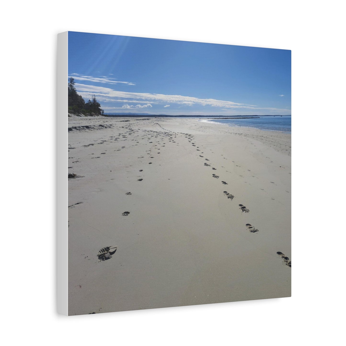 Footprints (canvas)