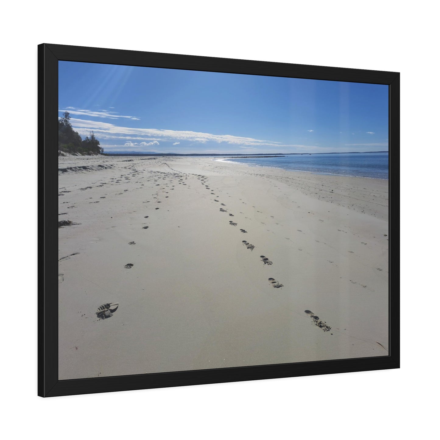 Footprints (framed print)