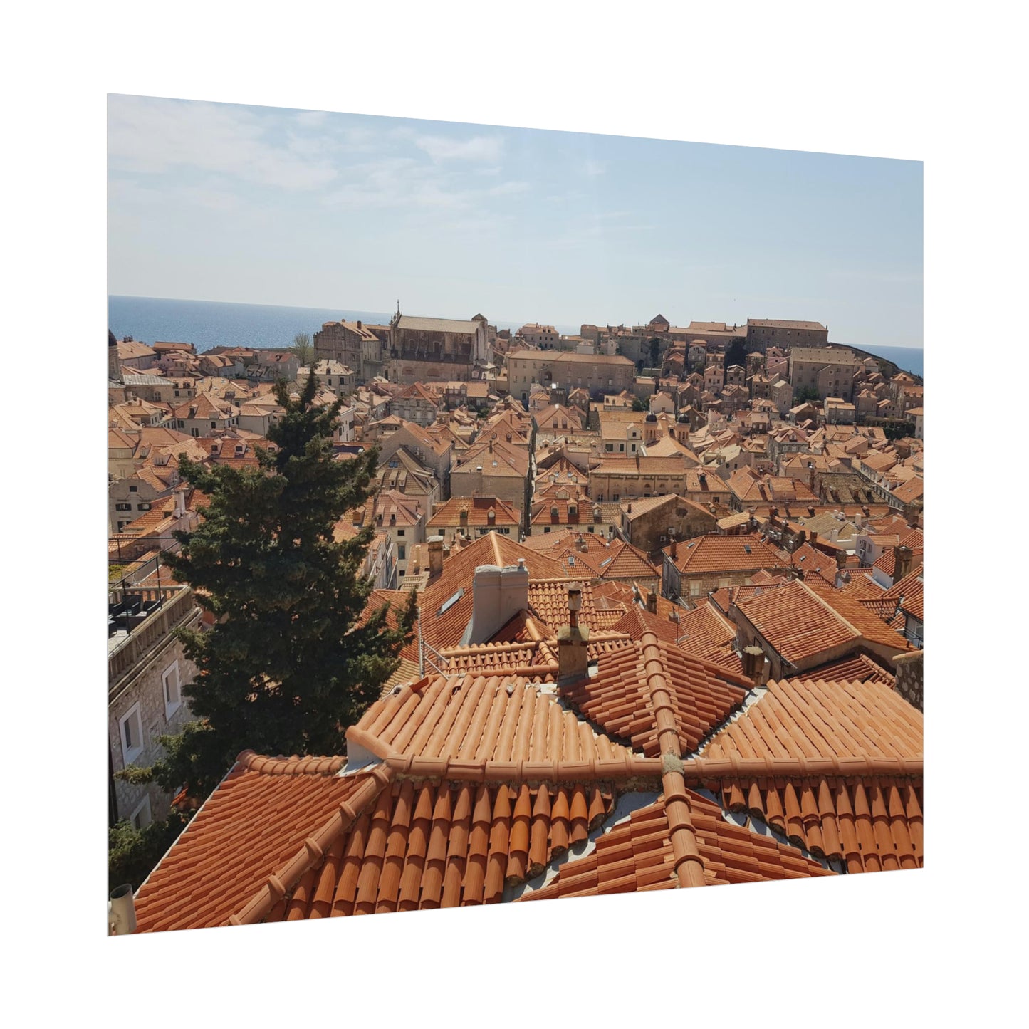 Roofs (print)