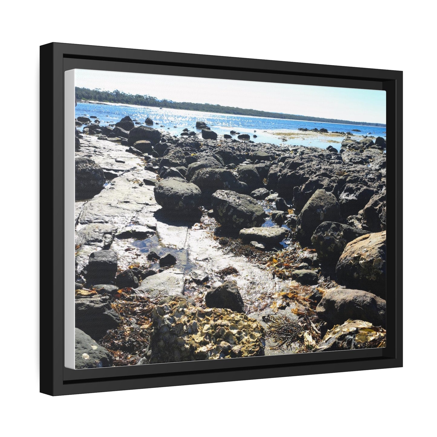 South Coast (framed canvas)