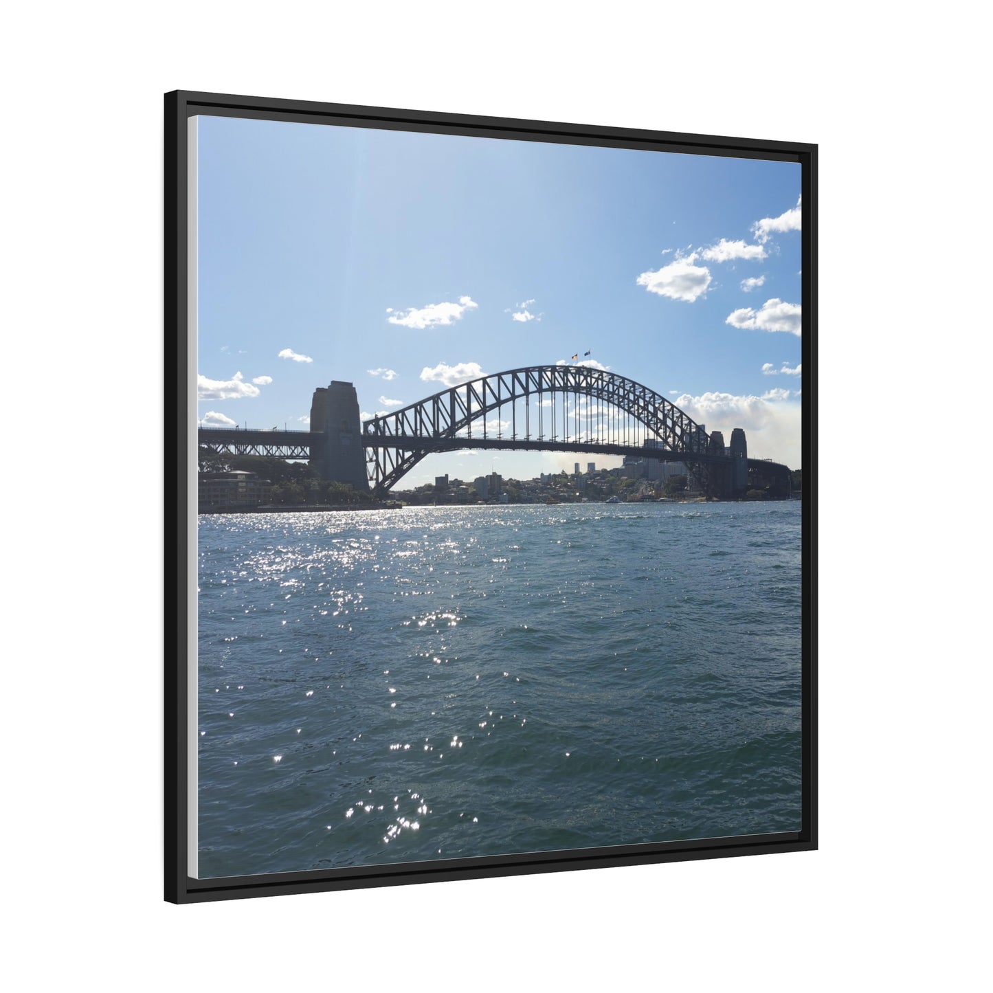 Sydney Harbour (framed canvas)