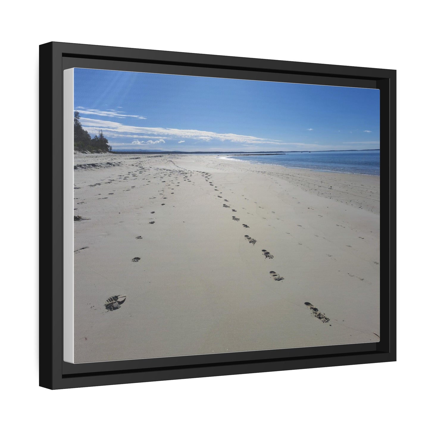 Footprints (framed canvas)