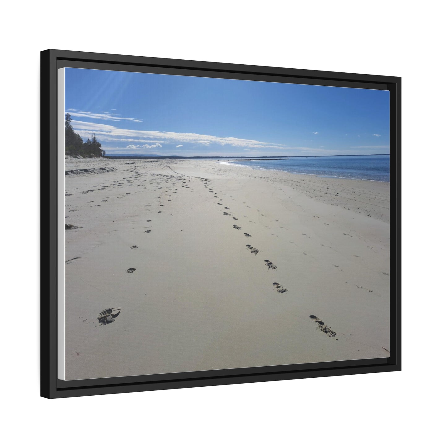 Footprints (framed canvas)