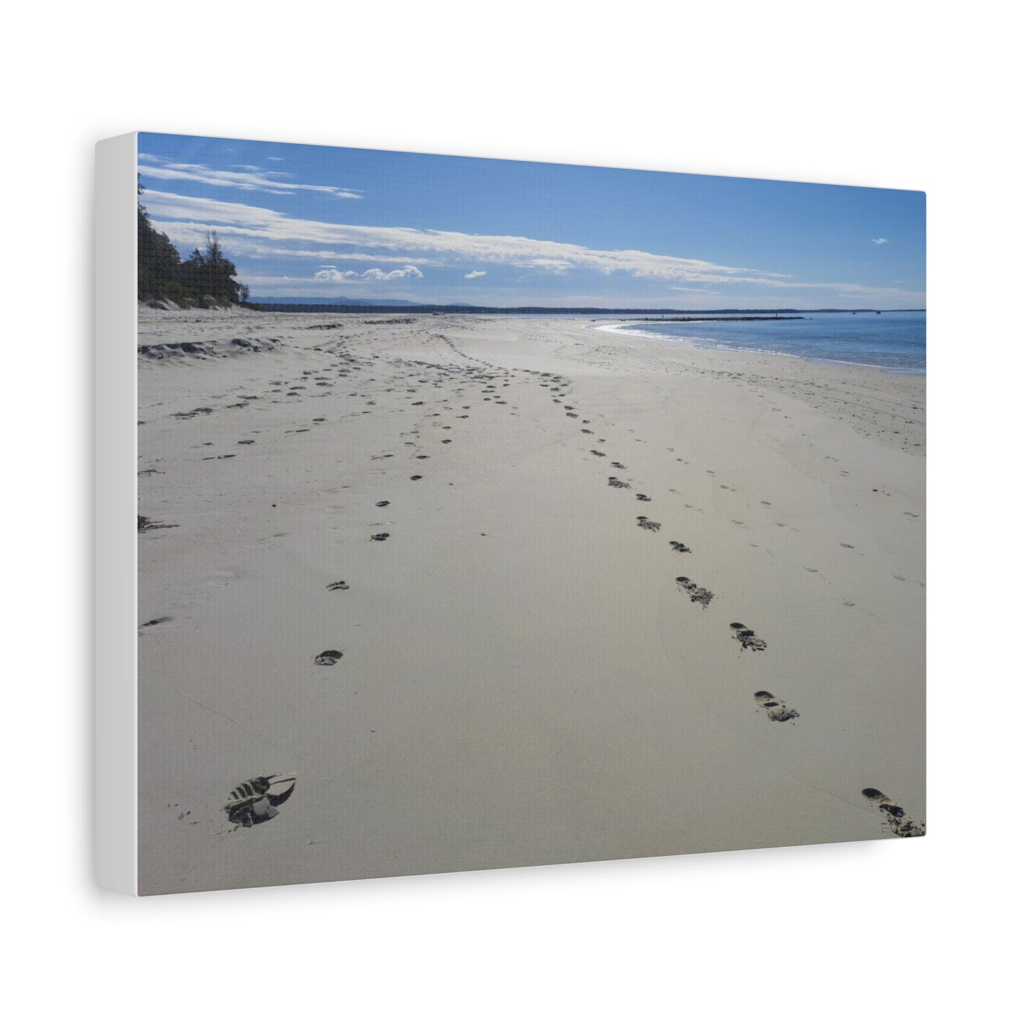 Footprints (canvas)