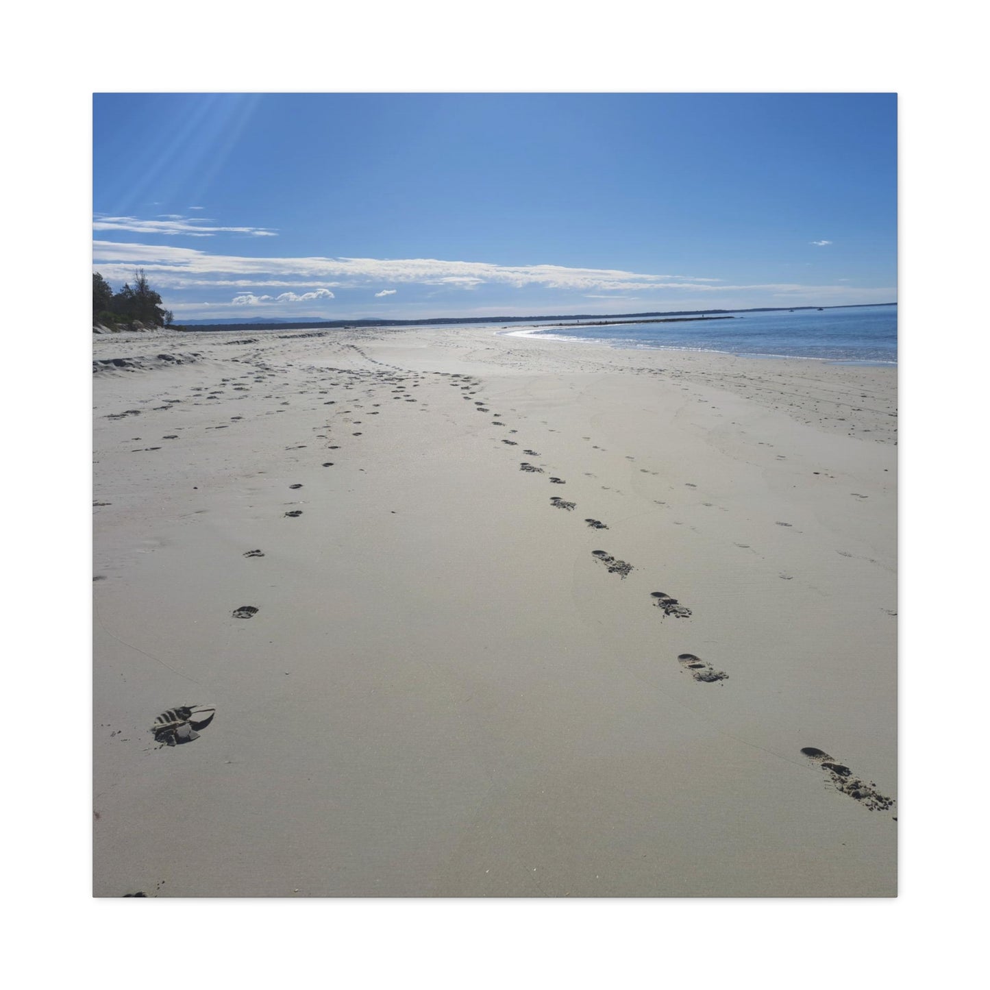 Footprint in the Sand (canvas)