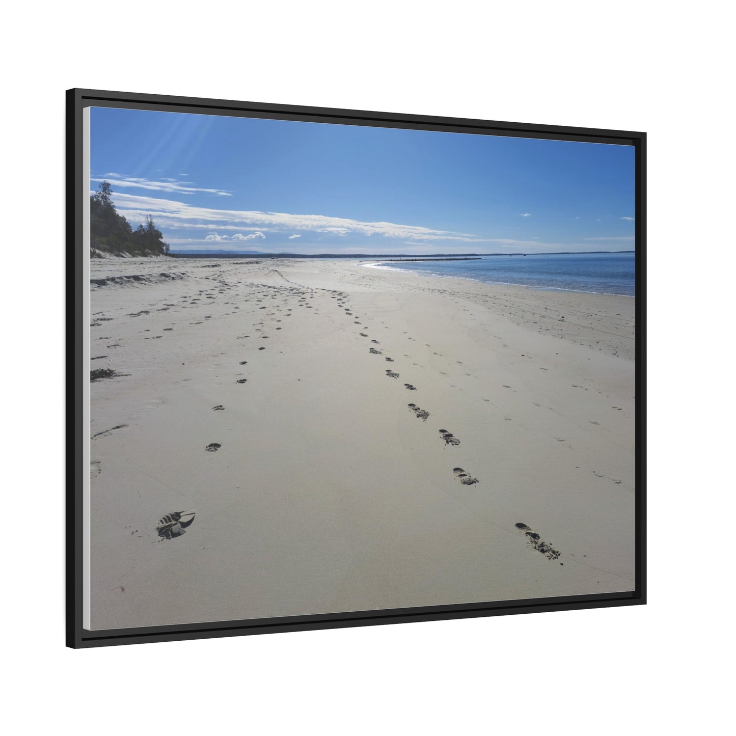 Footprints (framed canvas)