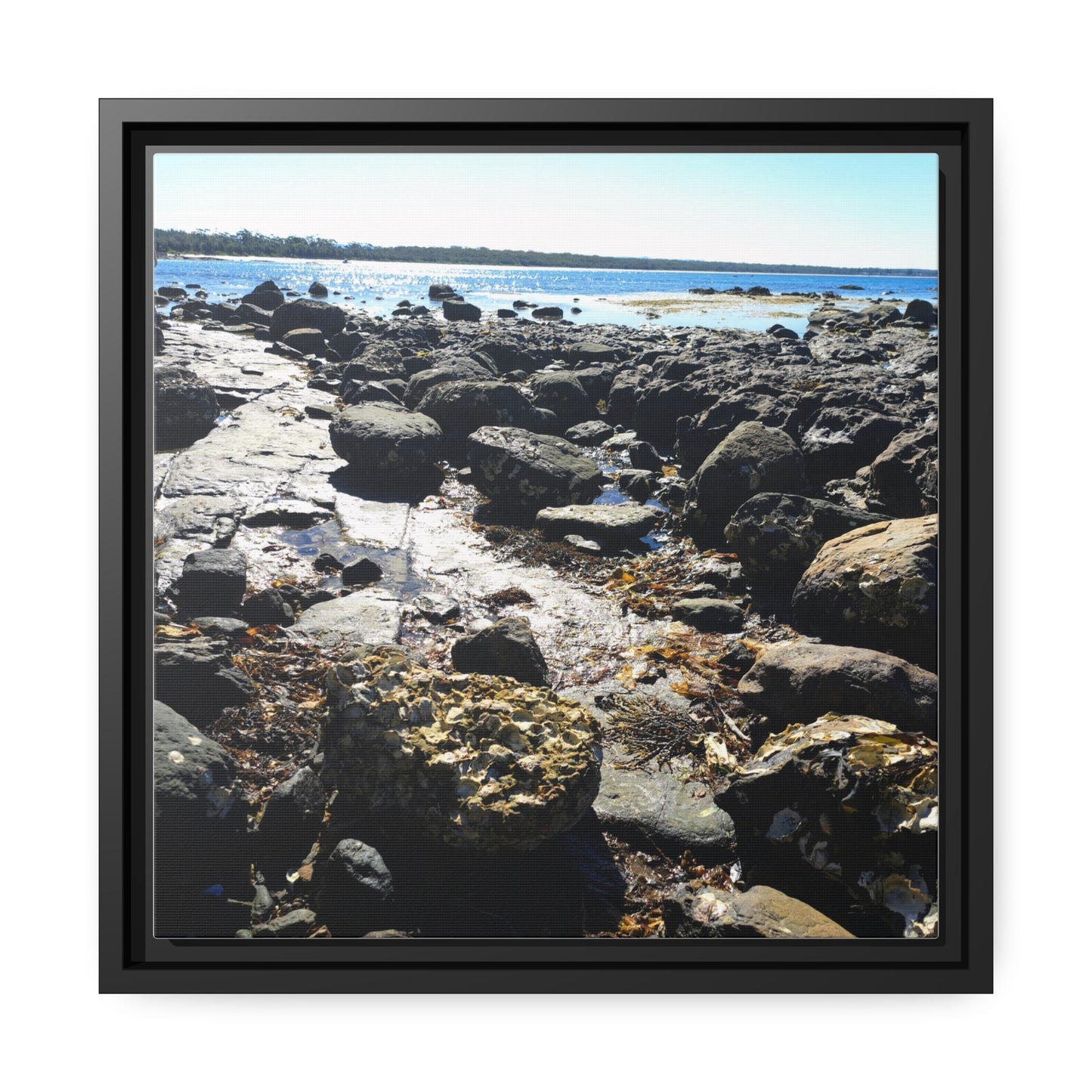 South Coast (framed canvas)