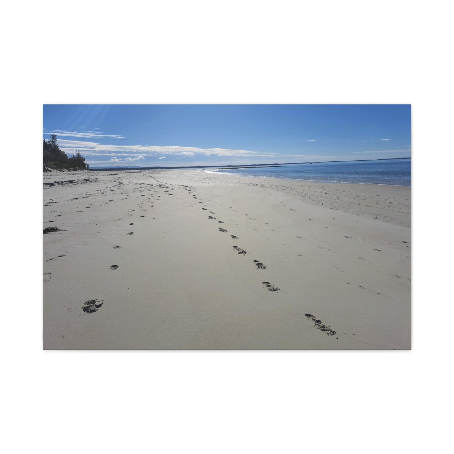 Footprint in the Sand (canvas)