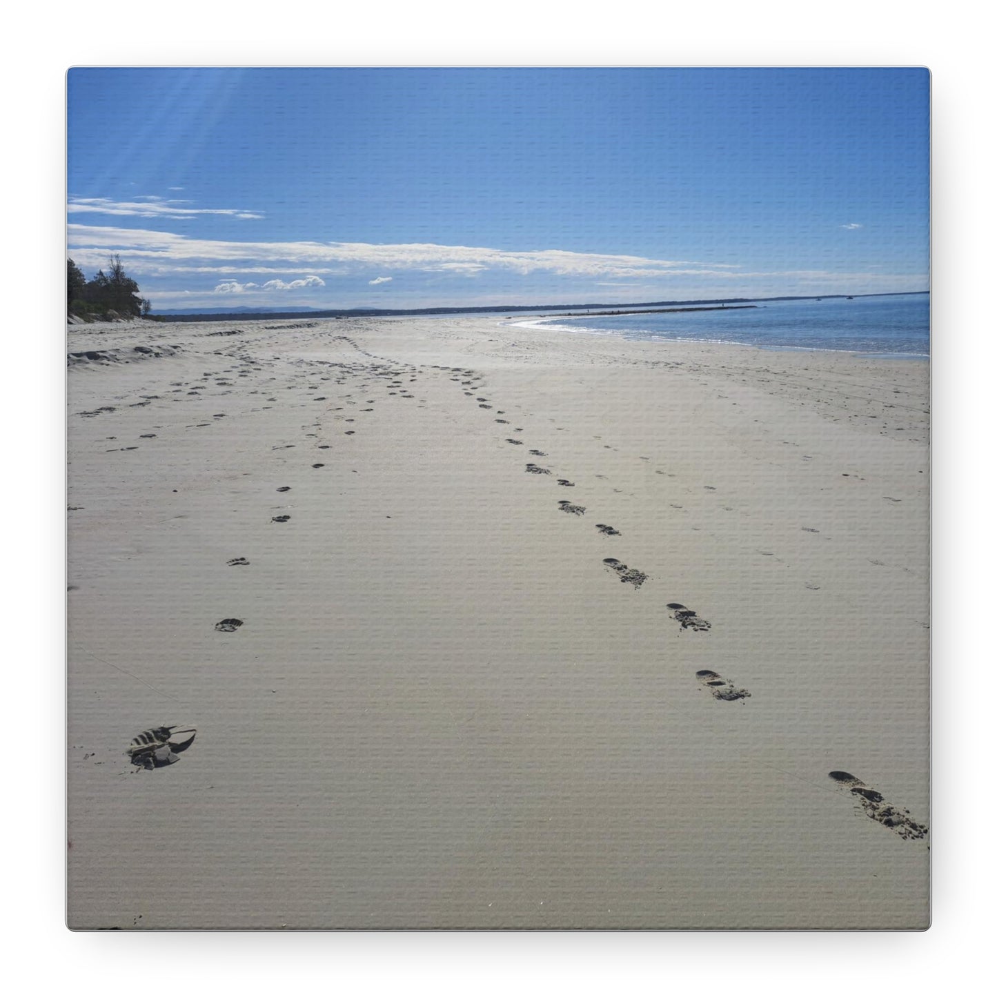 Footprint in the Sand (canvas)