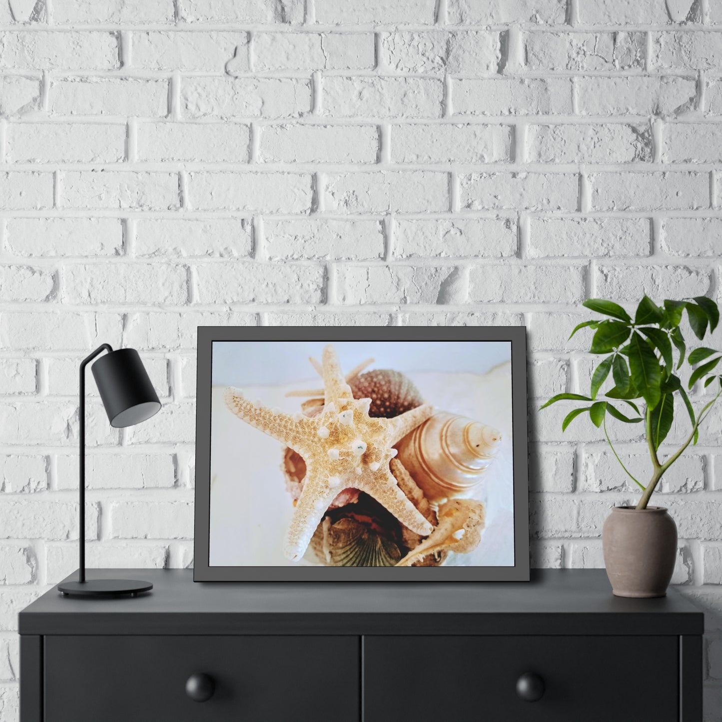 Shells 2 (framed print)