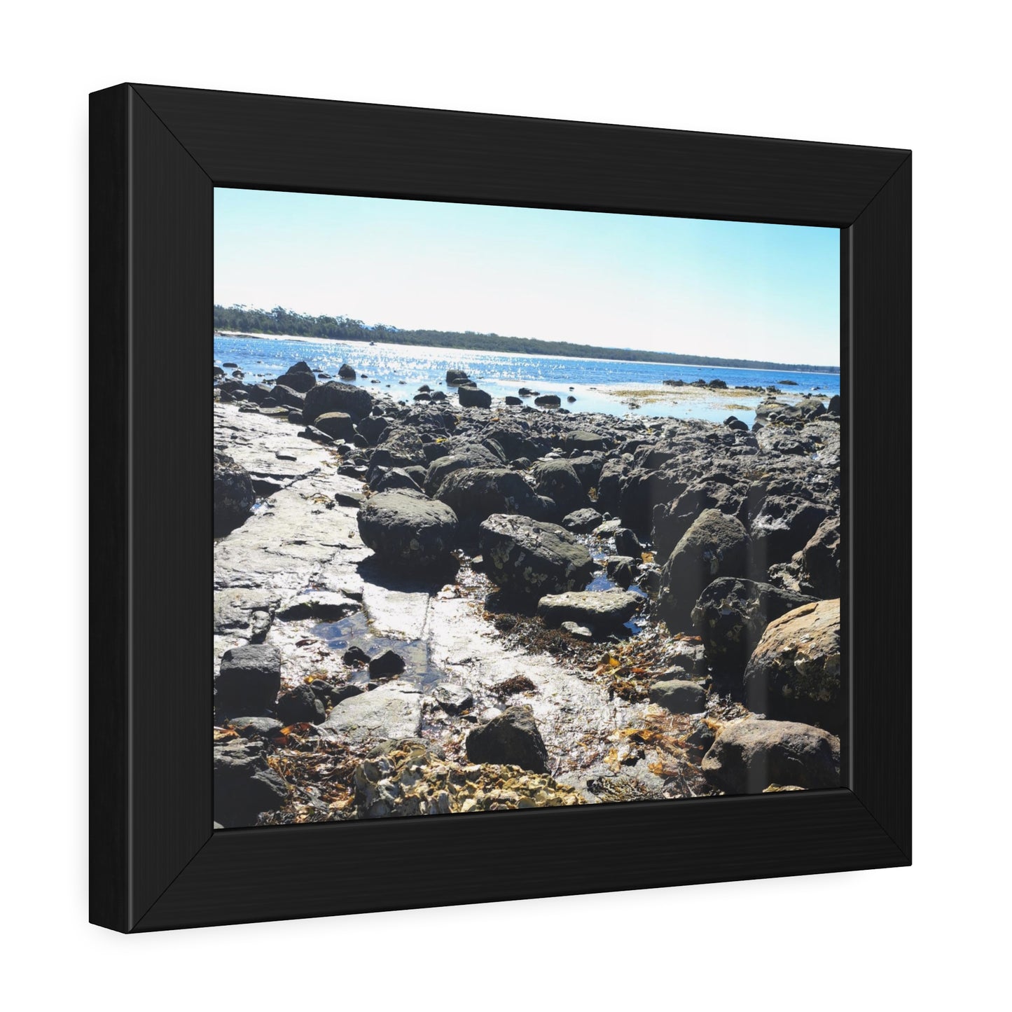 South Coast (framed print)