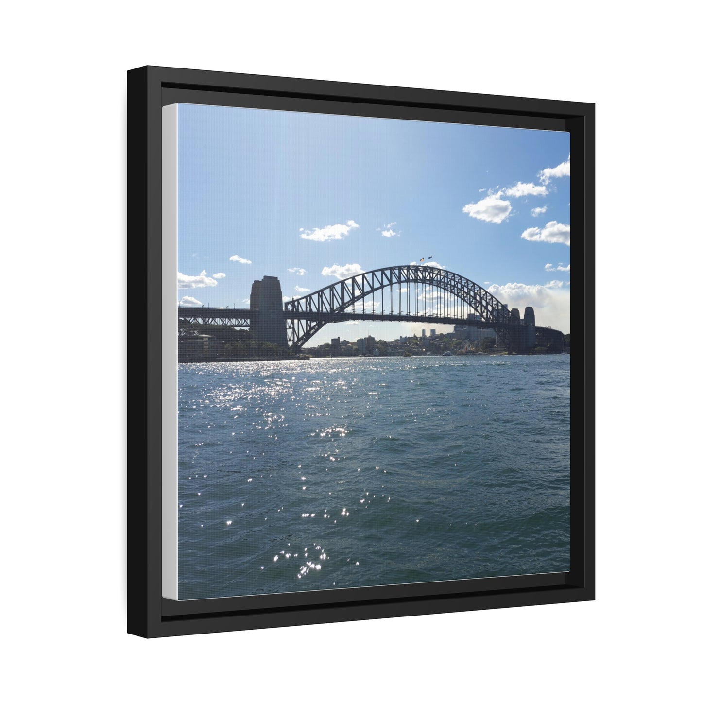 Sydney Harbour (framed canvas)