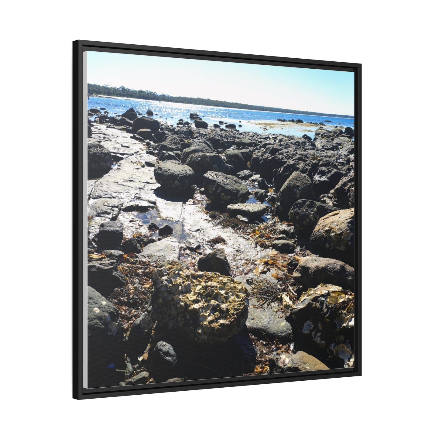 South Coast (framed canvas)