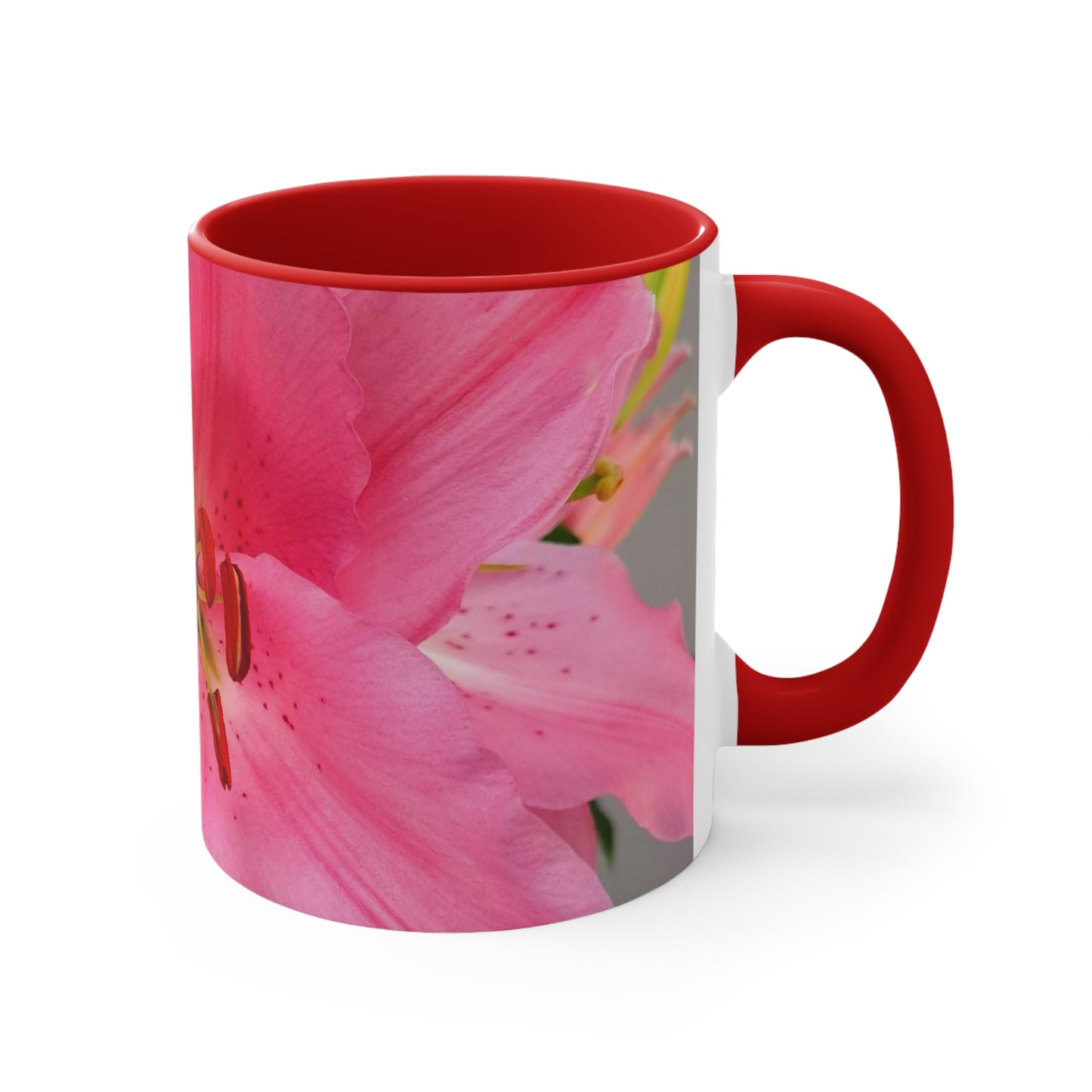 Colorful Accent Mugs, 11oz