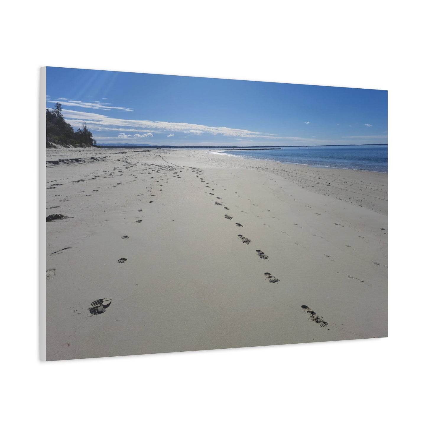 Footprint in the Sand (canvas)