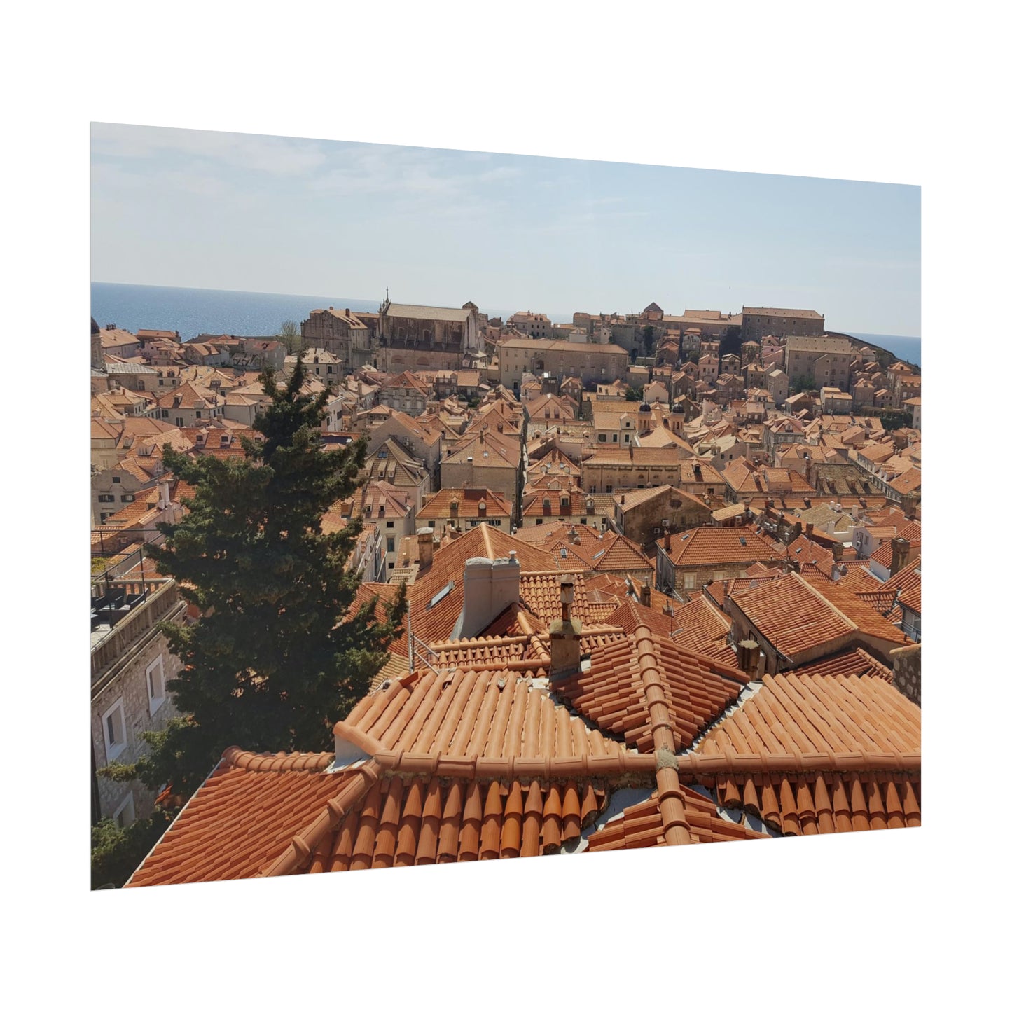 Roofs (print)