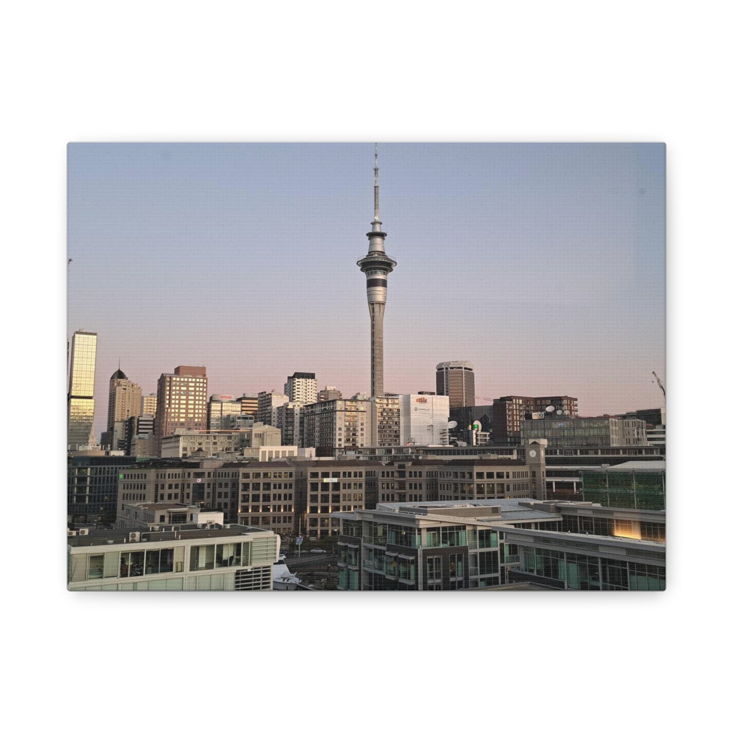 Auckland (canvas)