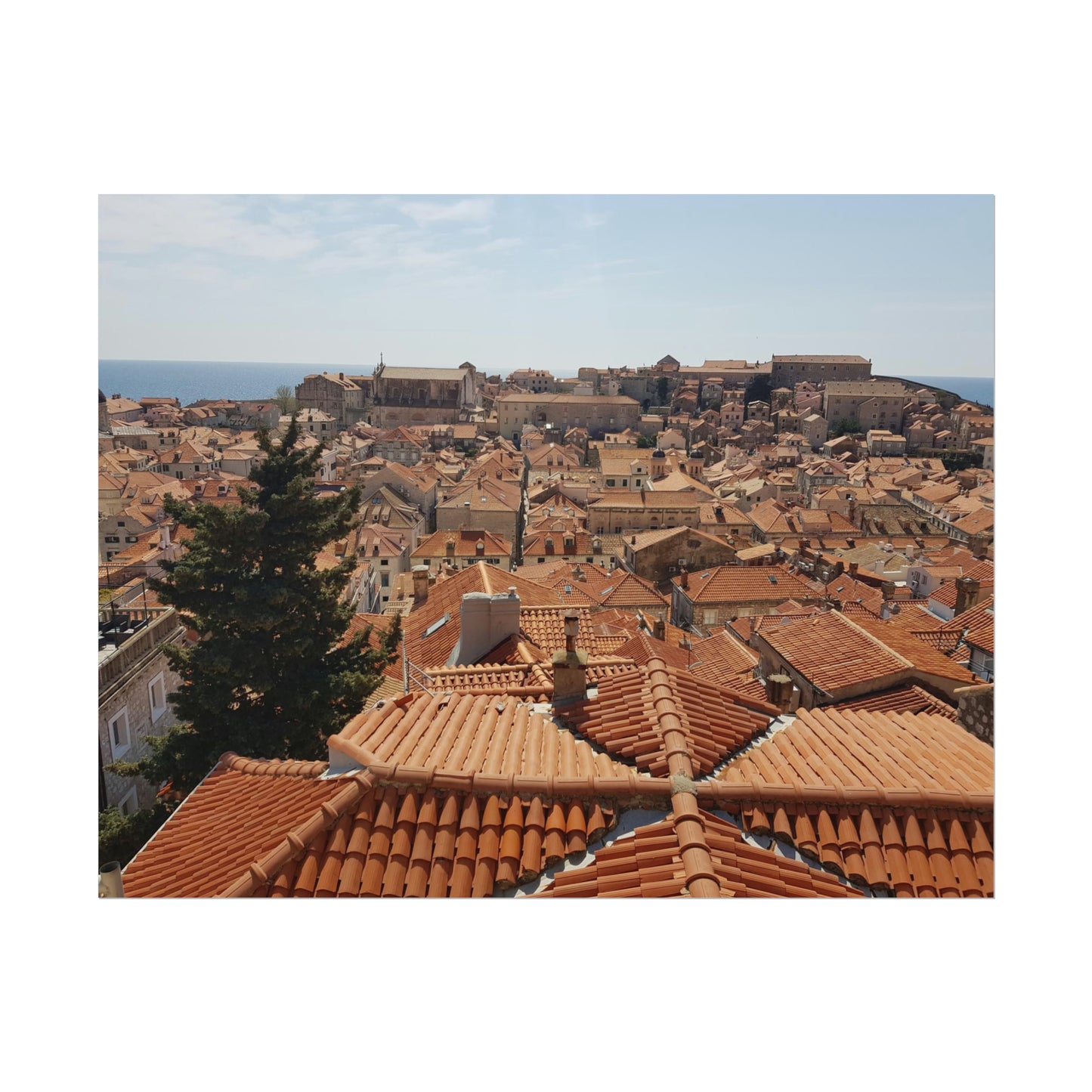 Roofs (print)