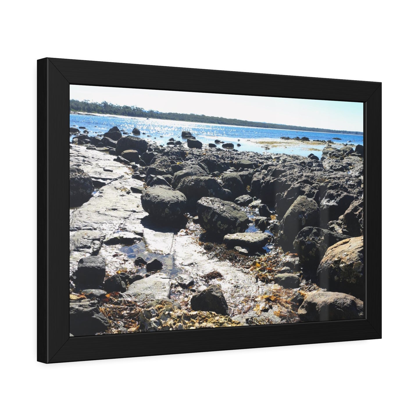 South Coast (framed print)