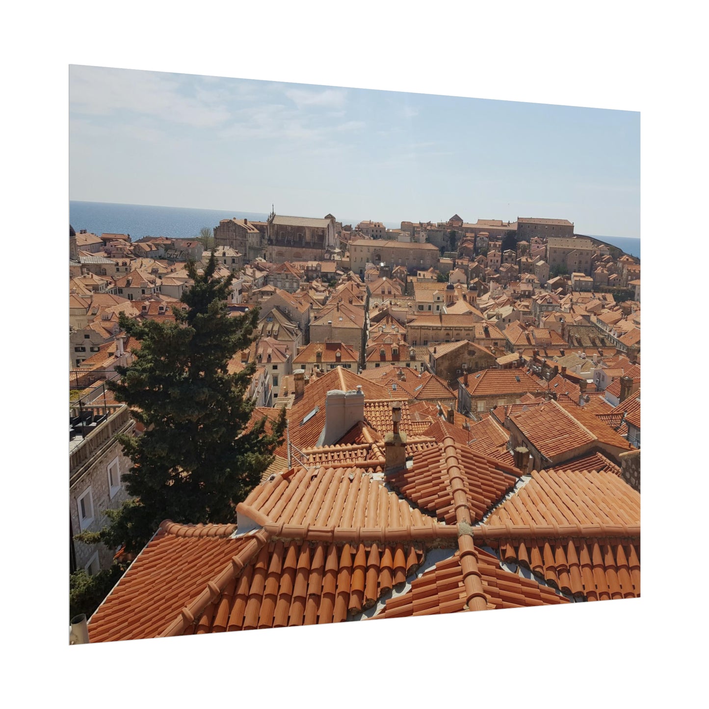 Roofs (print)