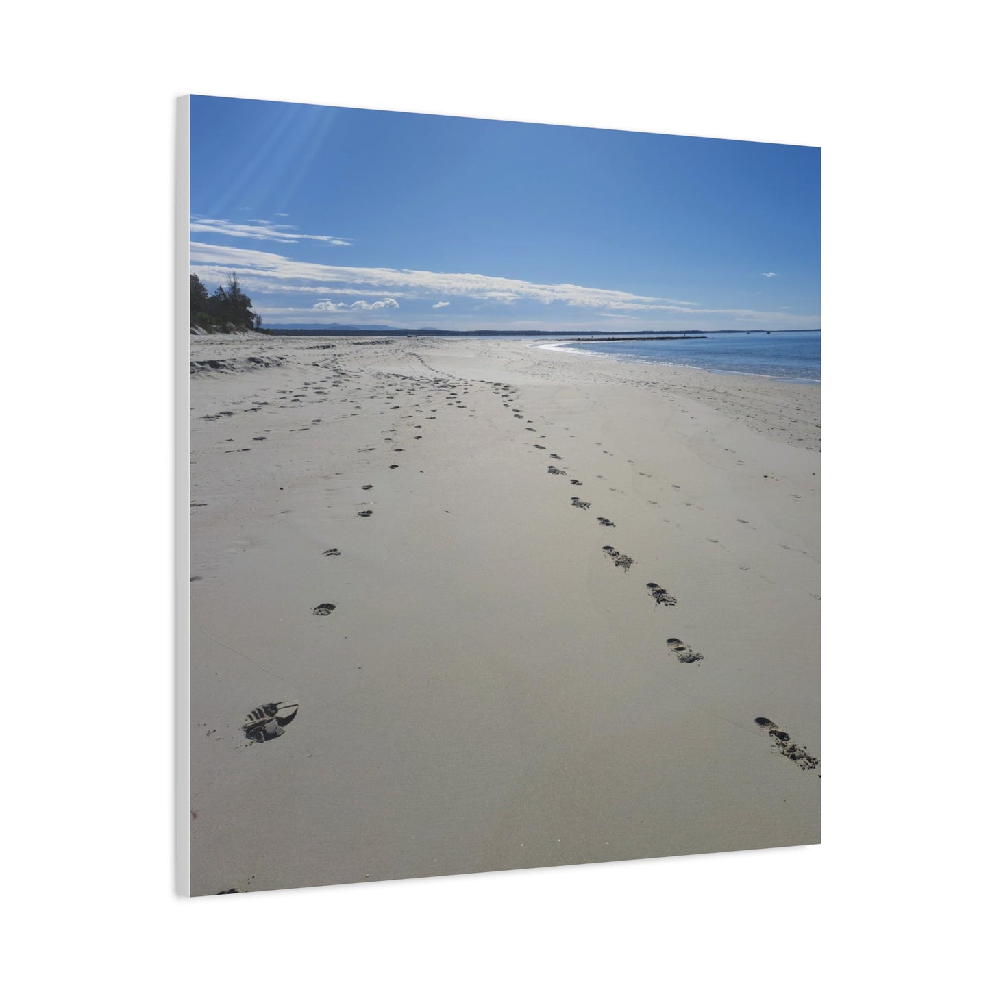 Footprint in the Sand (canvas)