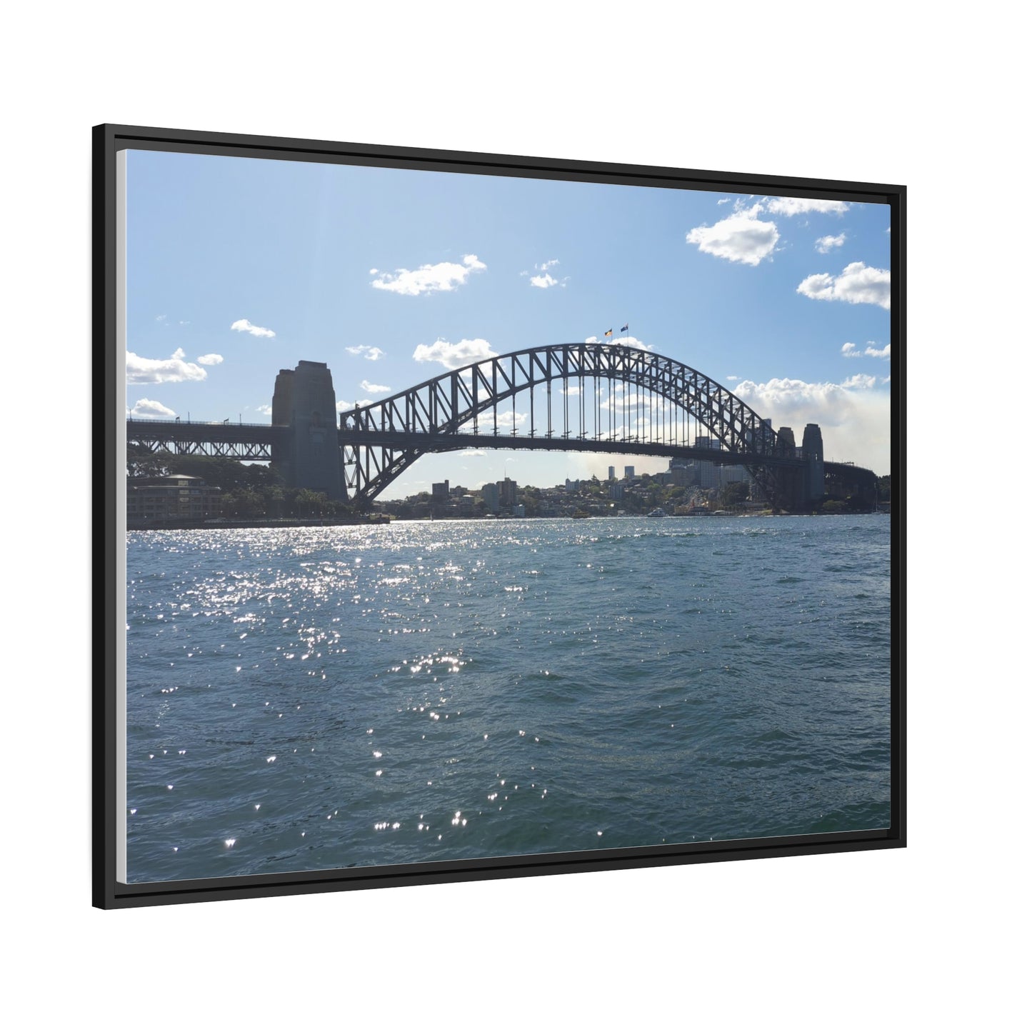 Sydney Harbour (framed canvas)