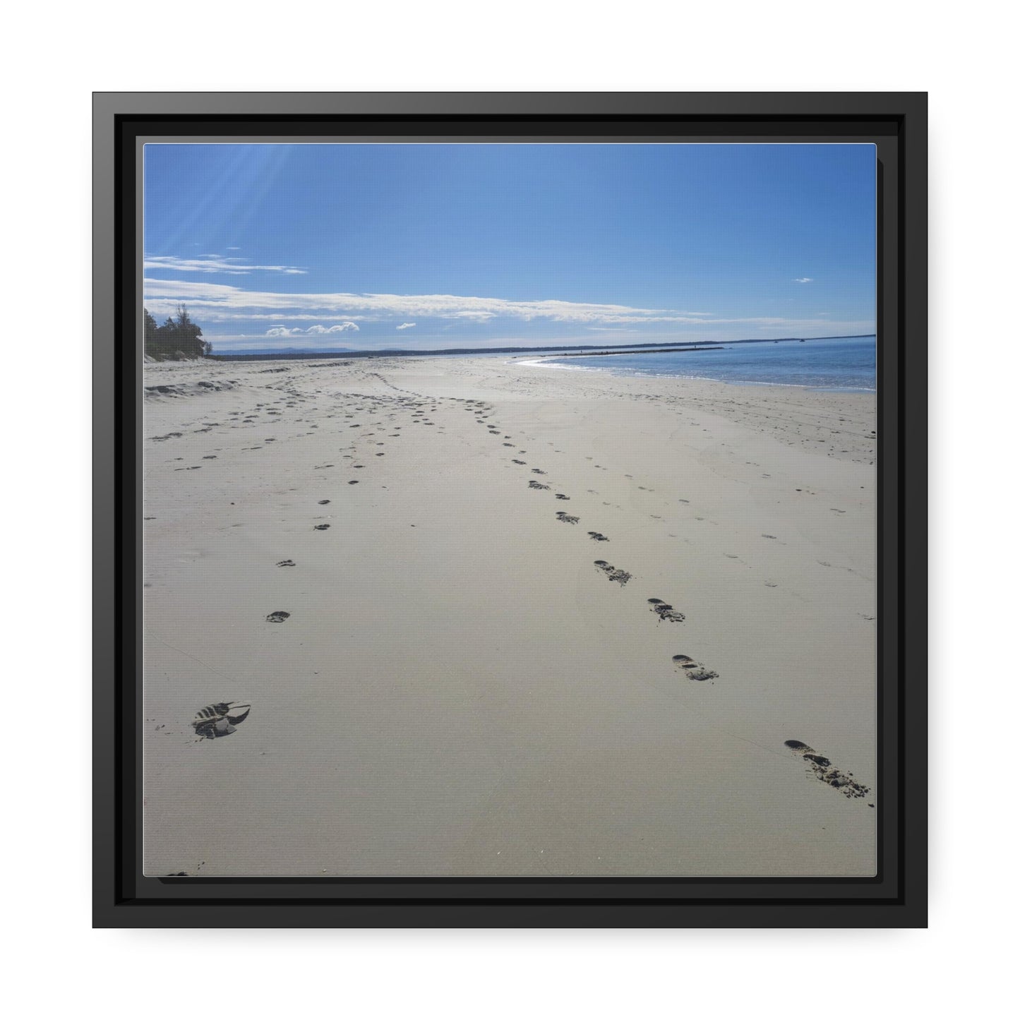 Footprints (framed canvas)