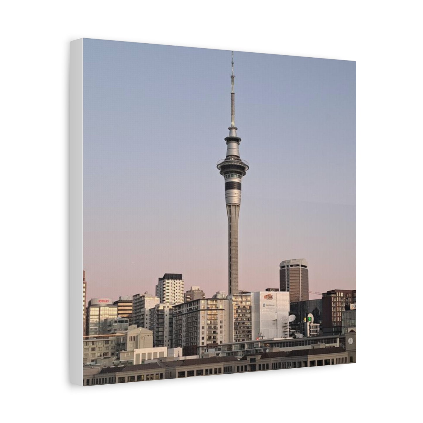 Auckland (canvas)