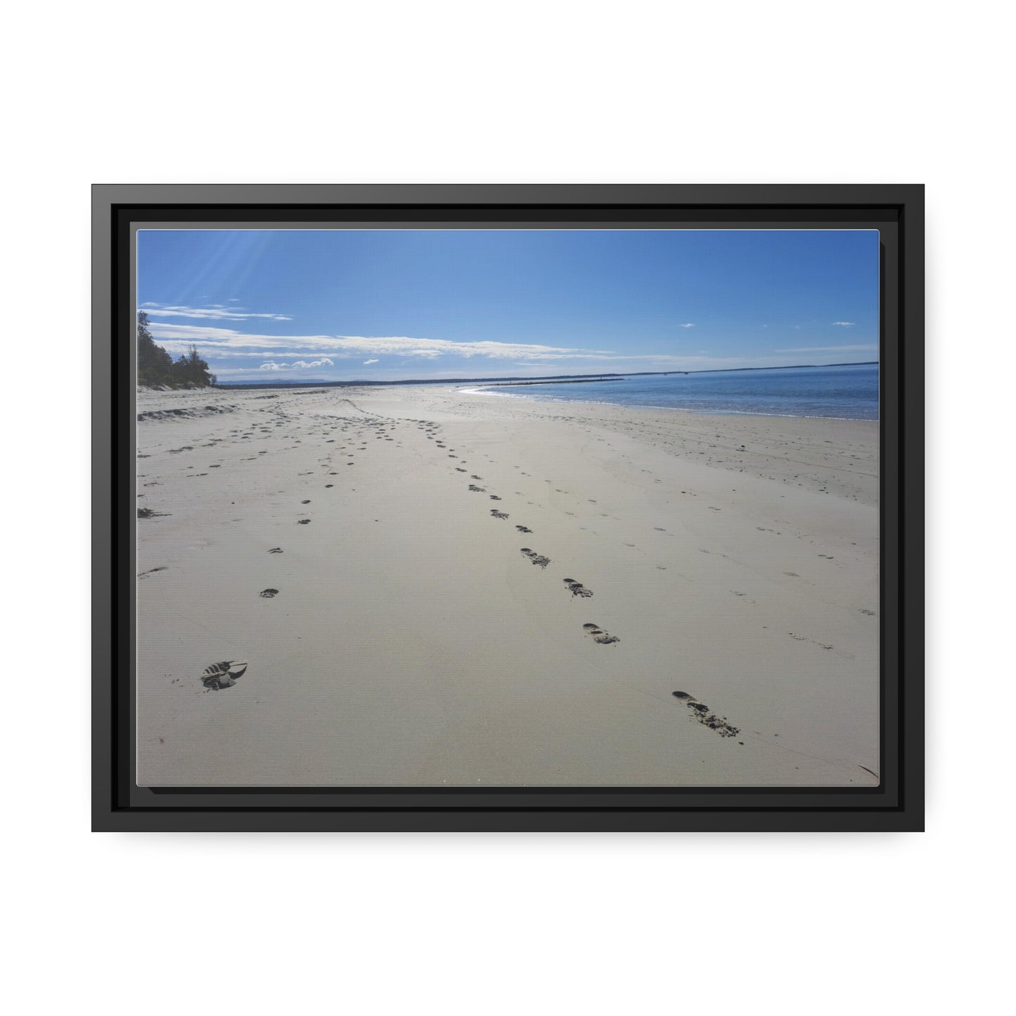 Footprints (framed canvas)