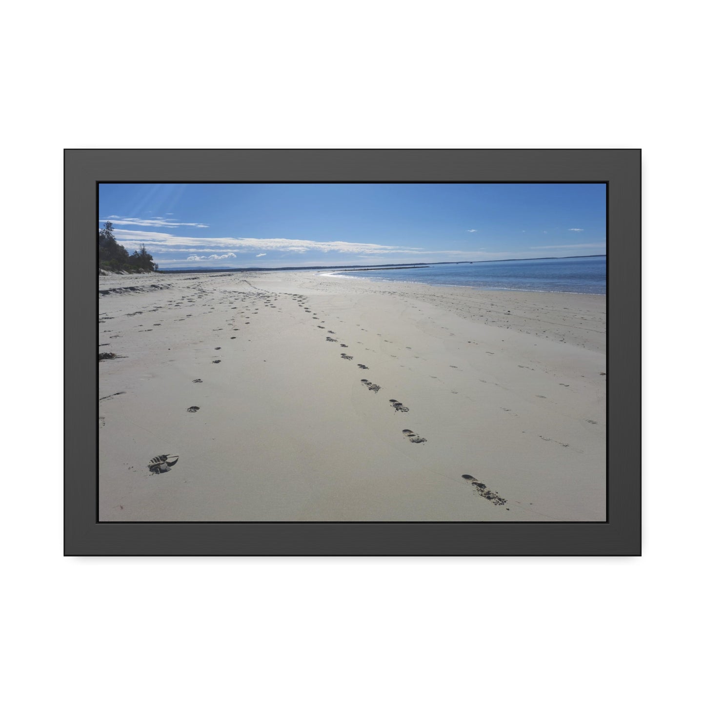 Footprints (framed print)