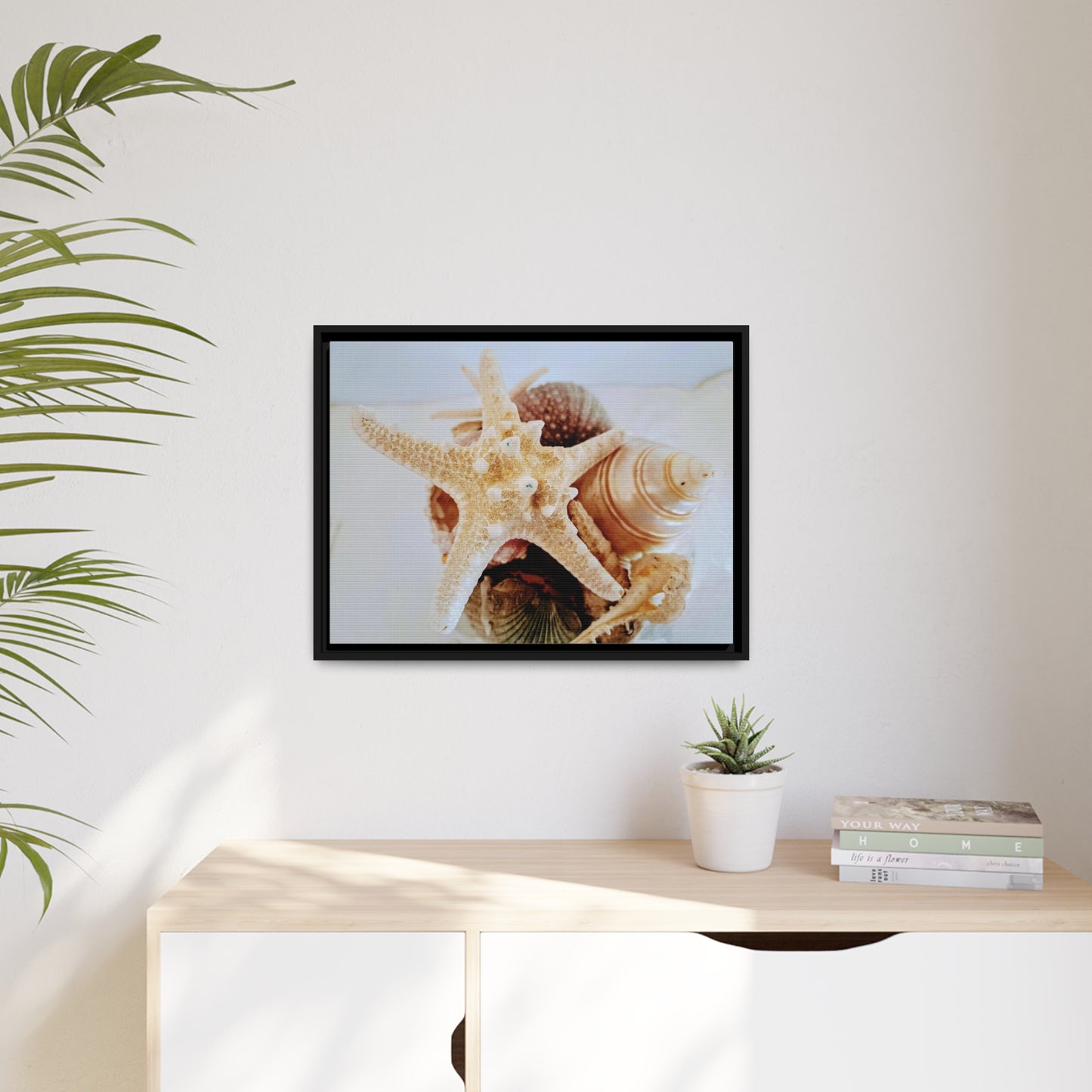 Shells 2 (framed canvas)