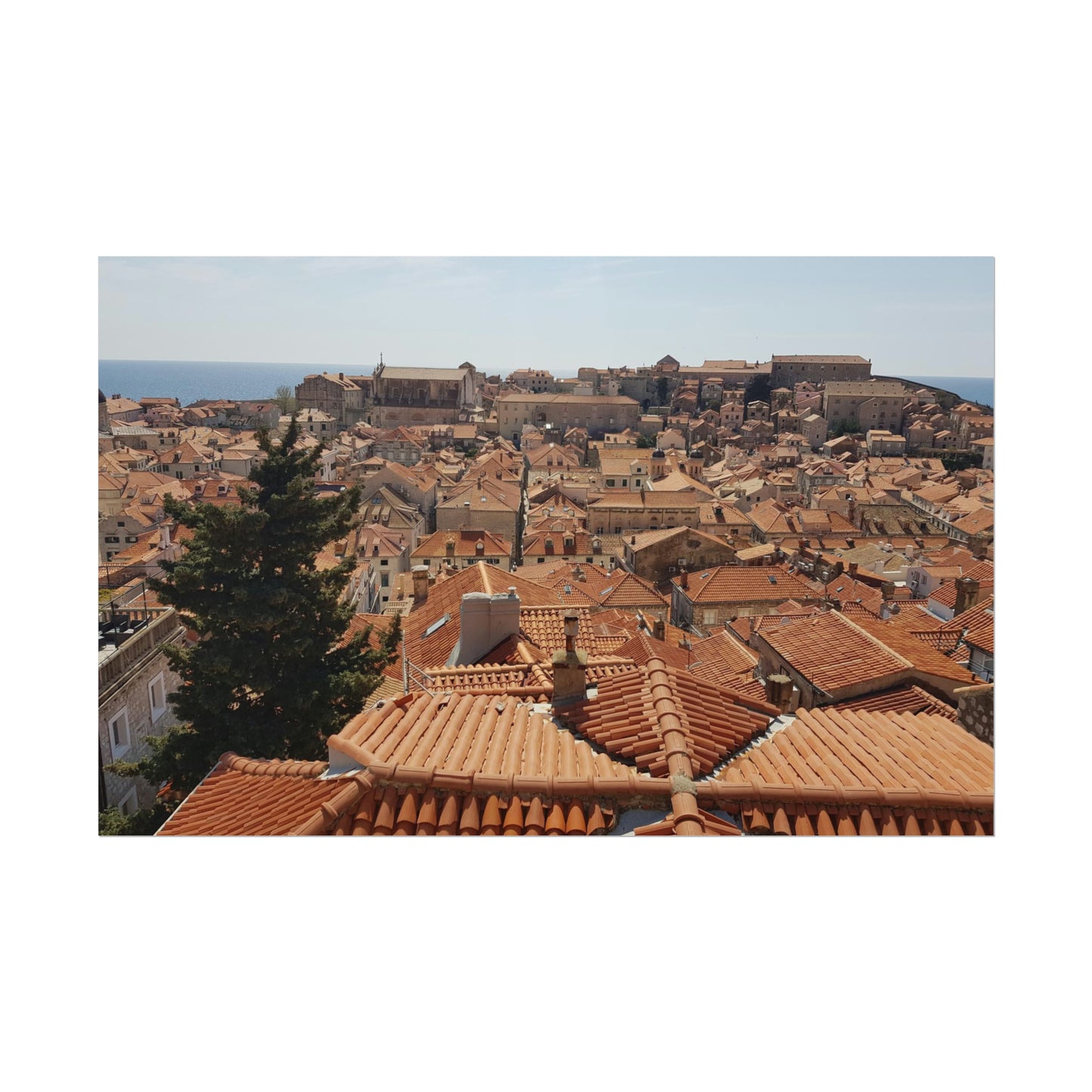 Roofs (print)