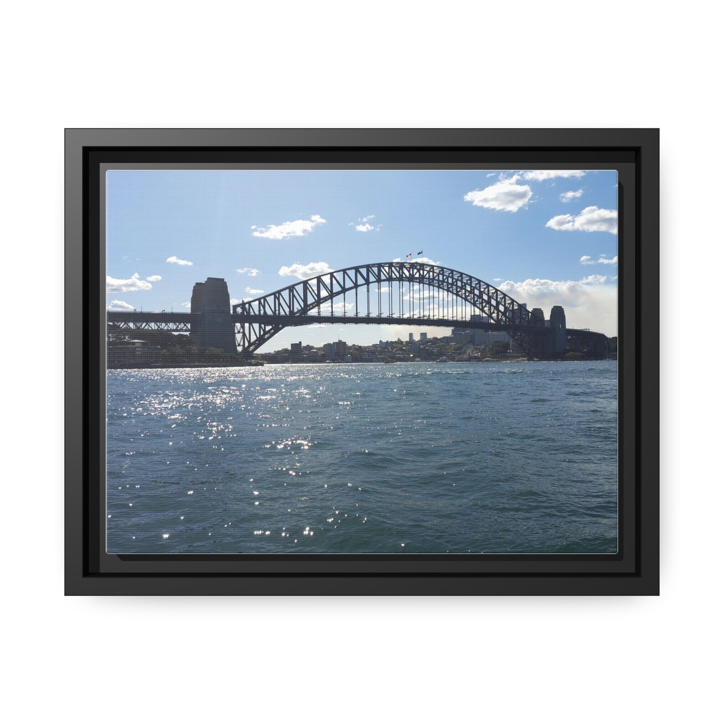 Sydney Harbour (framed canvas)