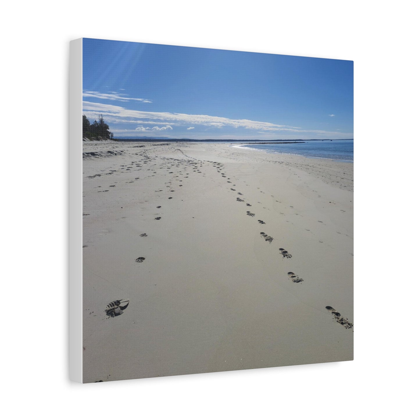 Footprint in the Sand (canvas)