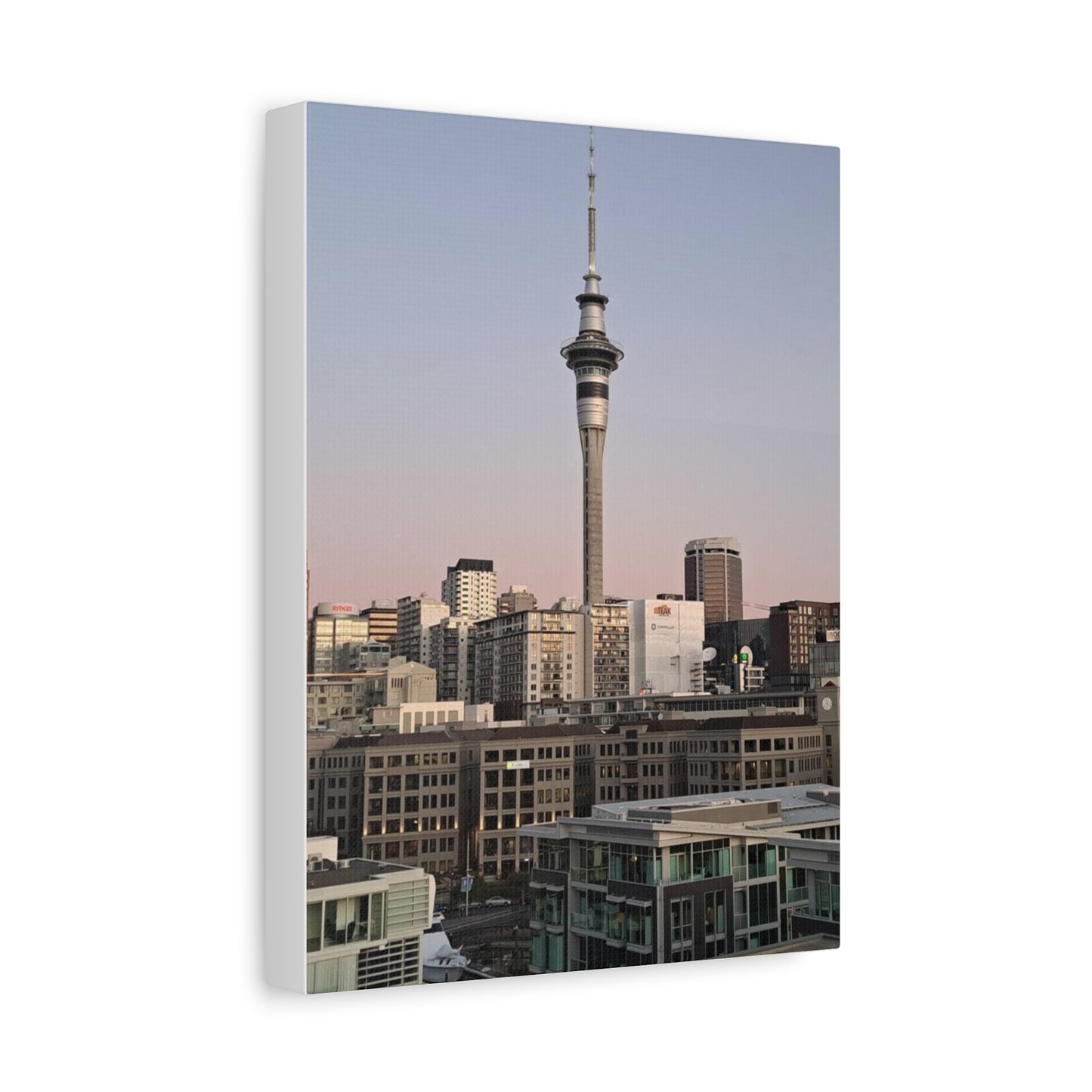 Auckland (canvas)