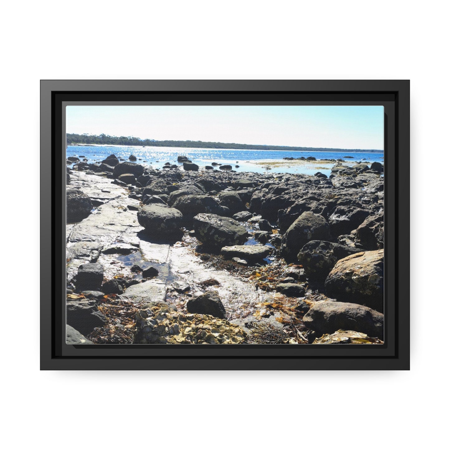 South Coast (framed canvas)