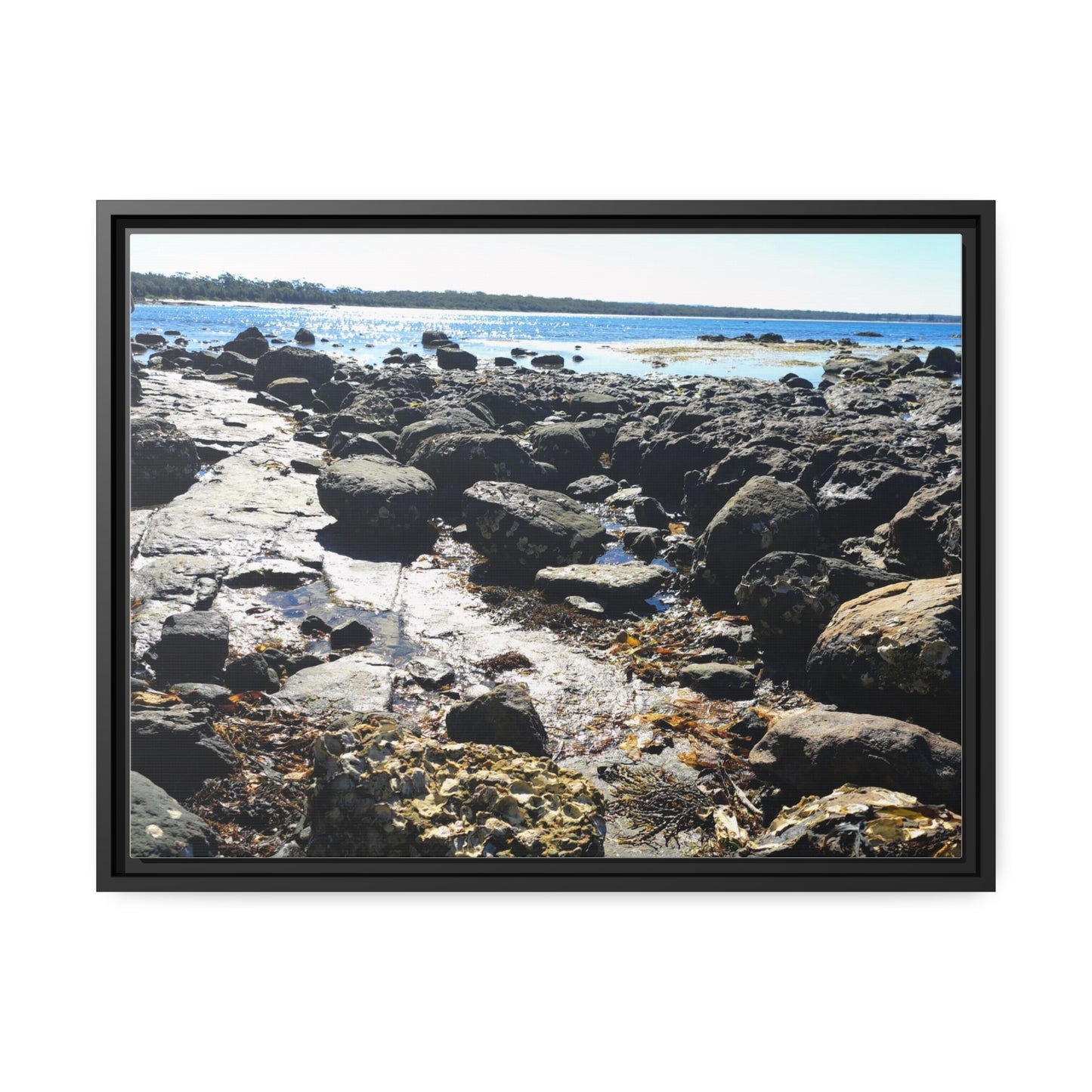 South Coast (framed canvas)