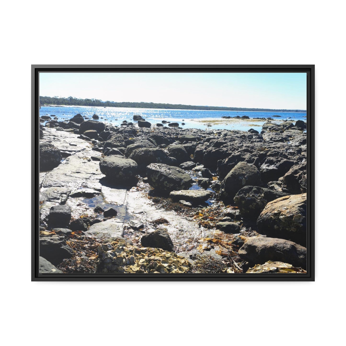 South Coast (framed canvas)